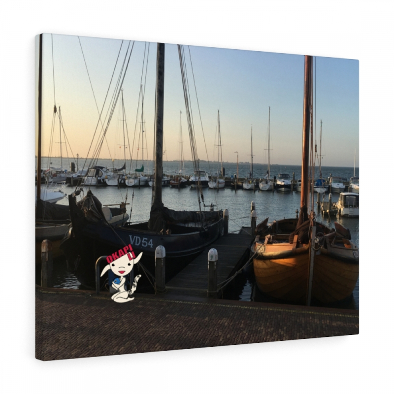 Okapi, Hafen, Volendam